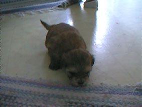 Molly =)
